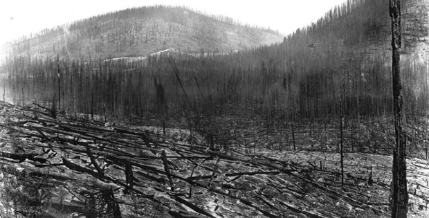 The Fires of 1910